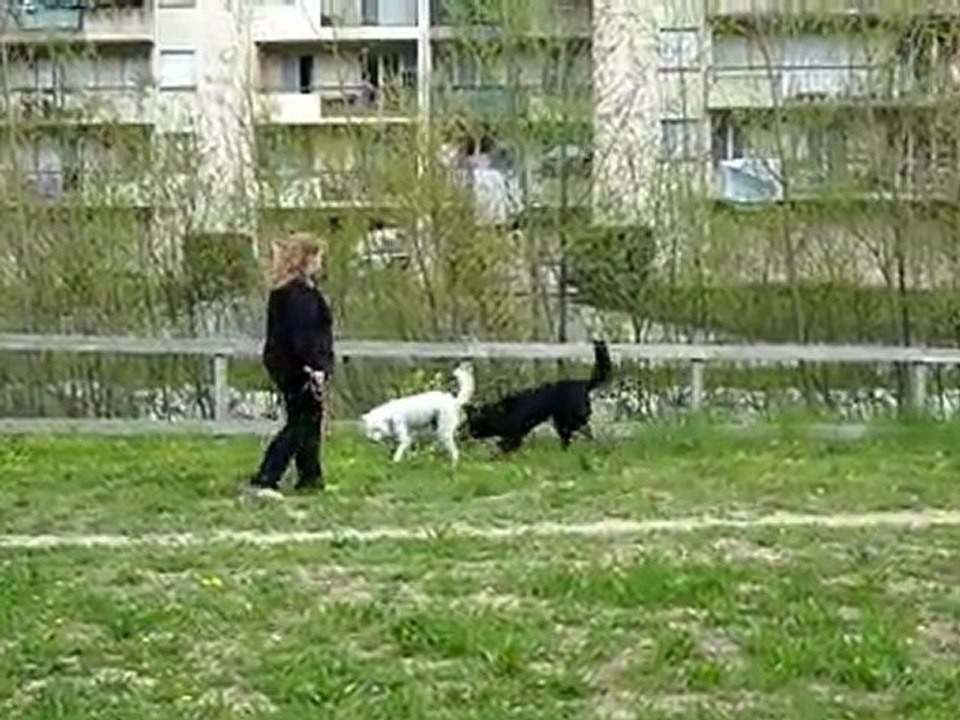 Daisy et Euskadia à Sospel