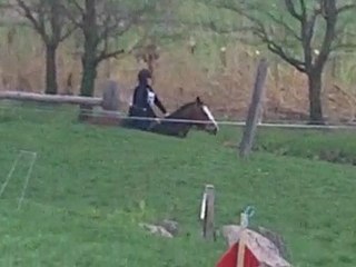 wangen 11/04/2010 bis