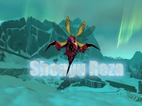 Leather Gear Solid 2