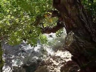 Jean-Jacques RAYBAIUD : LE GARDE CHAMPETRE  - Nouvelle