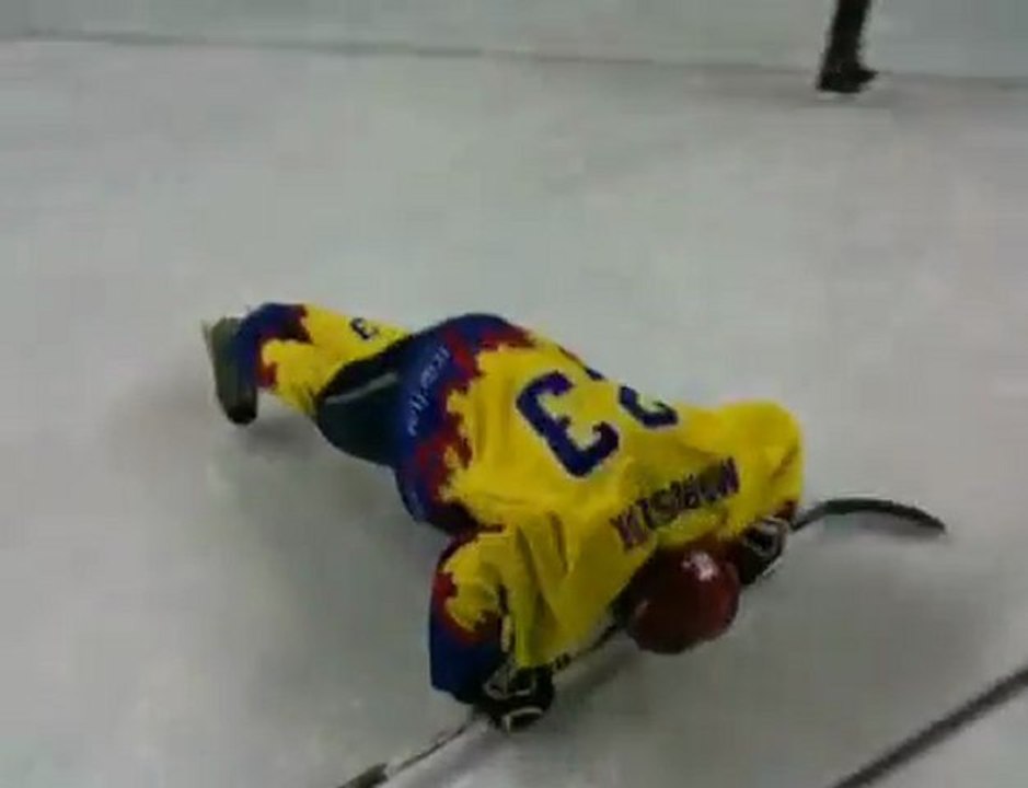 les anges de colombes