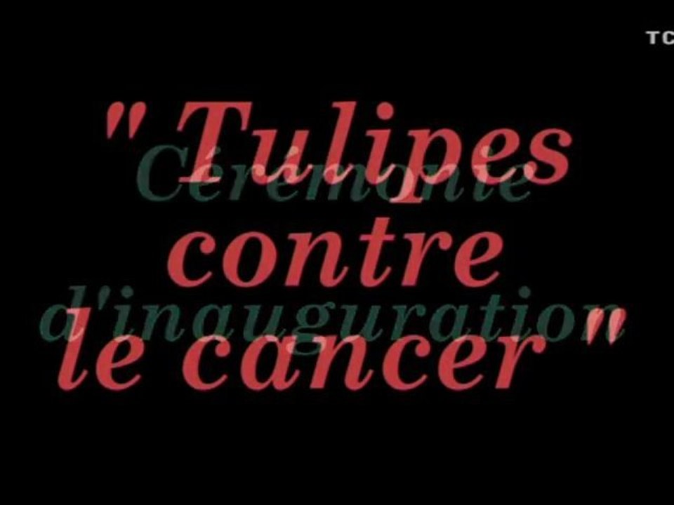 Des-tulipes-contre-le-cancer-2010