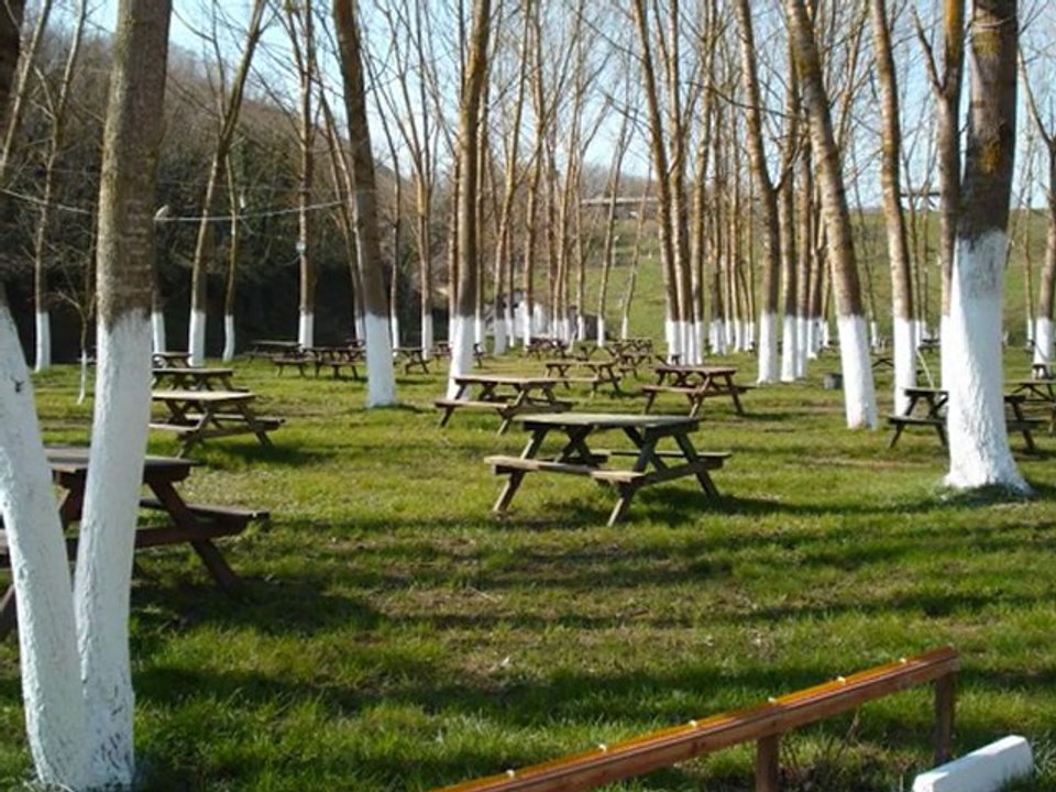 Yeniköy Piknik Şöleni