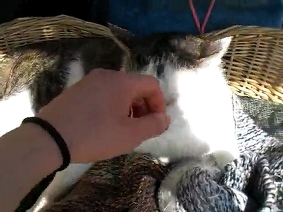 mathieu 1