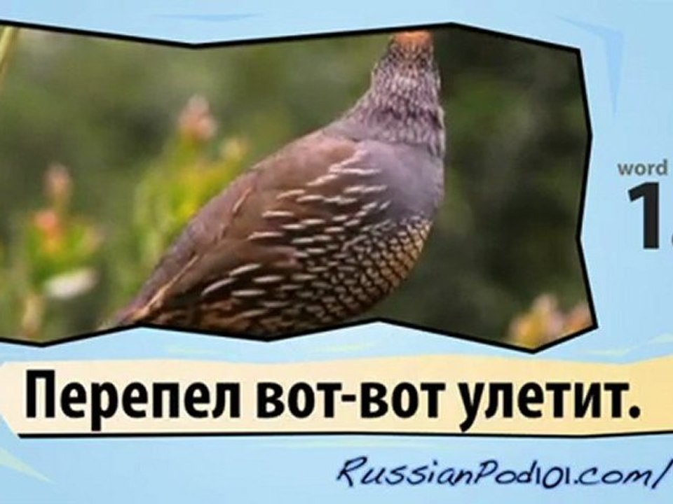 learn russian-Learn with Birds 2 video