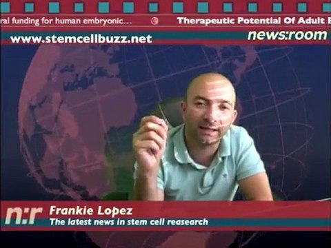 embryonic stem cells What are they