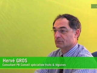 NOUVEAU ! Le guide merchandising melon / pastèque