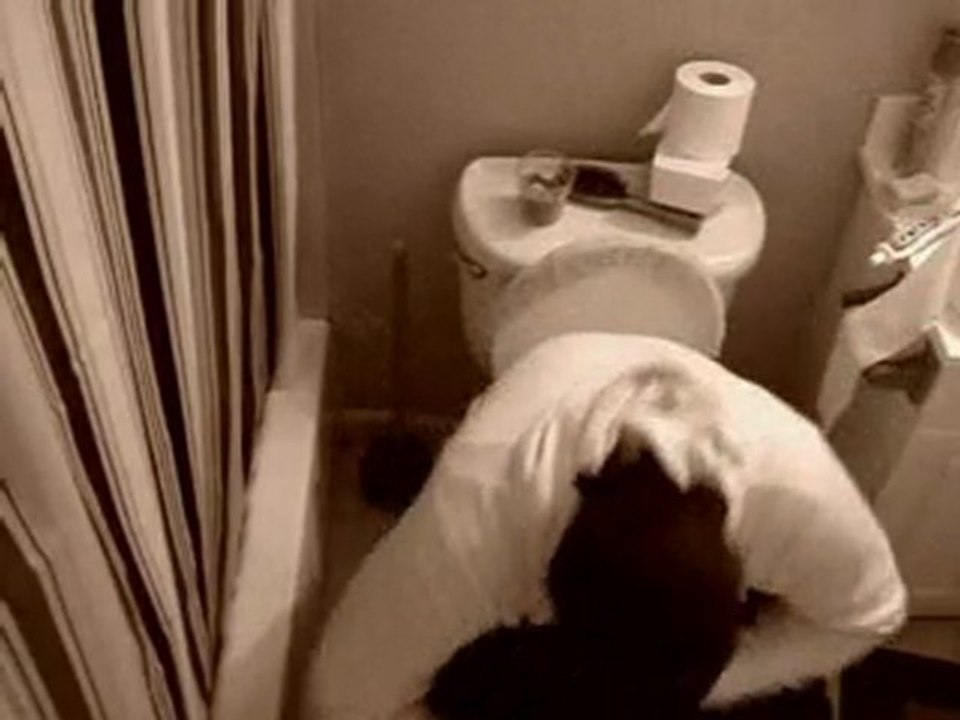 Toilet Shock