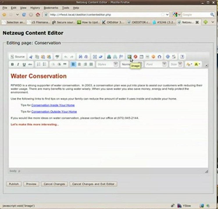 Website Content Management with Netzeug