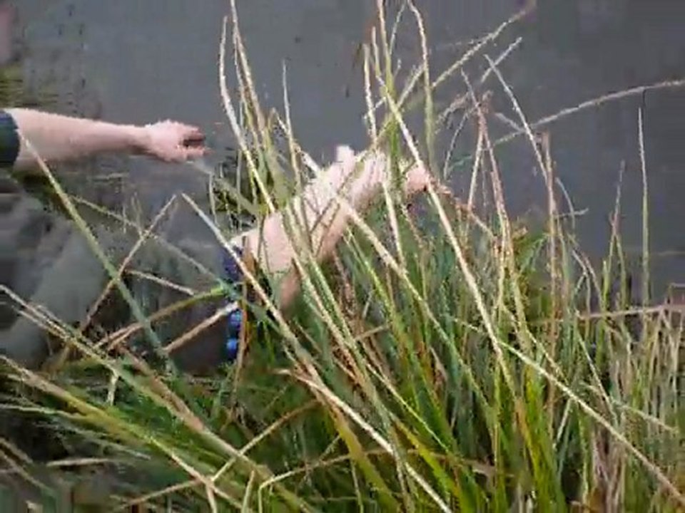 pêche a la carpe a bourg blanc