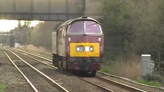 D1015 western champion and 47760 at worle on the 07/04/2010