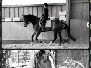 Reitferien im wunderschönen Sachsen