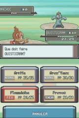 Pokemon Platine DS 03