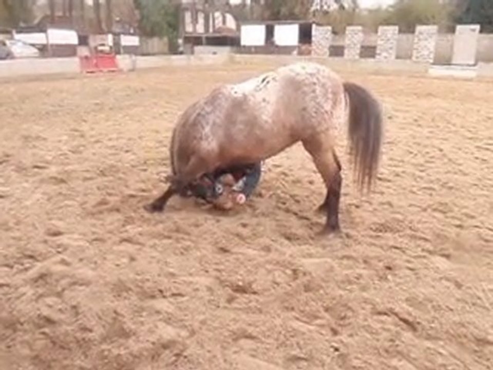 Sucette fait le salut de la reine (1)