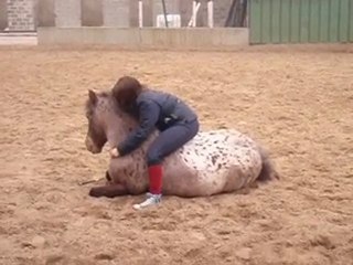 Sucette se couche sur demande (5)