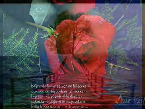 RIDVAN KARADAŞ - ( ŞİİR ) SENDEN ASLA - BİR GELSEN
