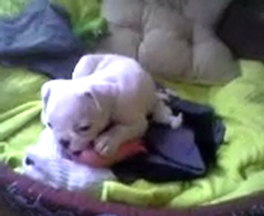Video 04120002