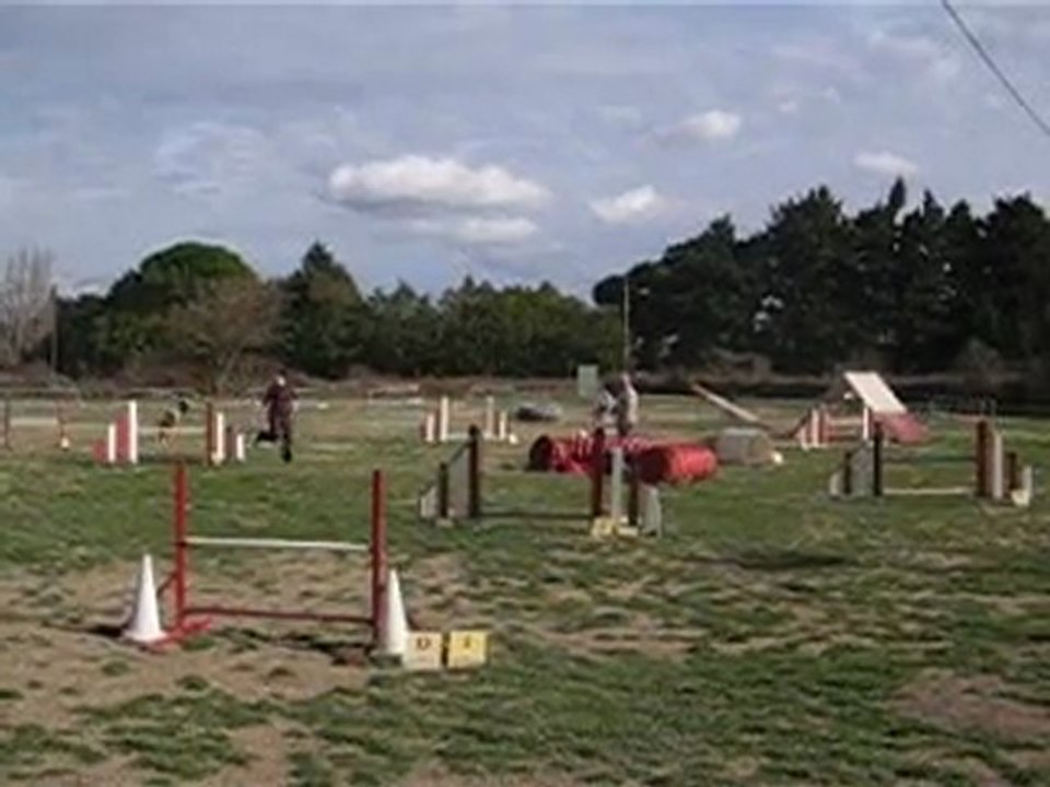 taïlee jump st sat