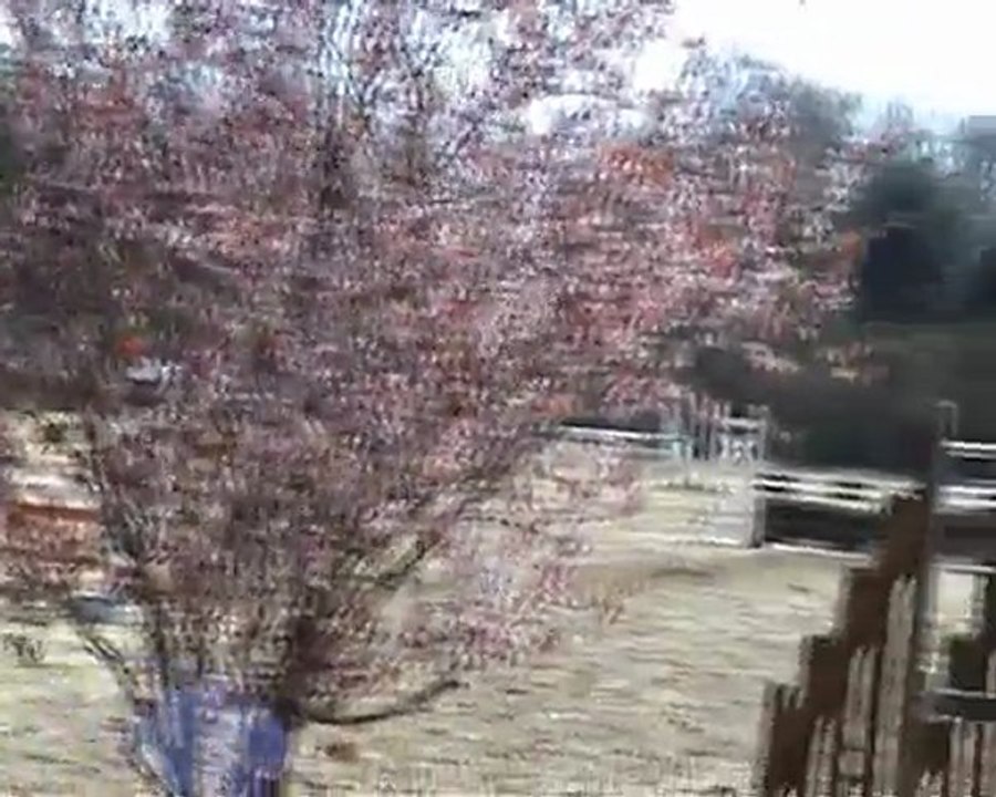 CSO de Bonneville - avril 2010