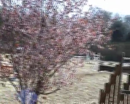 CSO de Bonneville - avril 2010