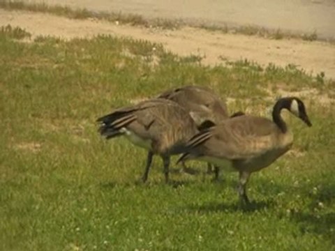 Centennial College CSTC Orientation Students