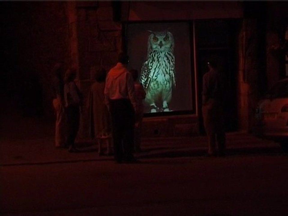 Bertrand Gadenne Le Hibou 2005