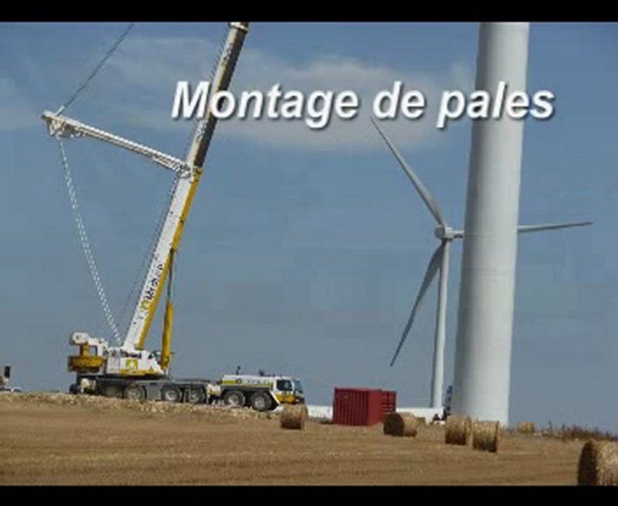 Grue
