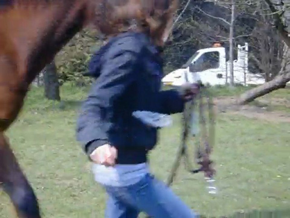Fullen