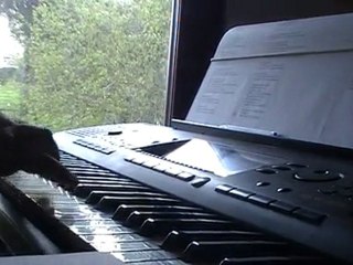 Version musical de lady gaga ( bad romance ) ACCOUSTIQUE