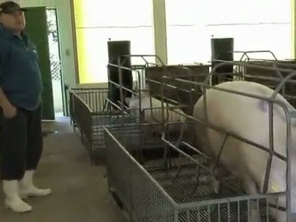 Video Short-1