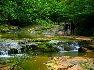 Ağva Otelleri - www.agvaotelleri.org