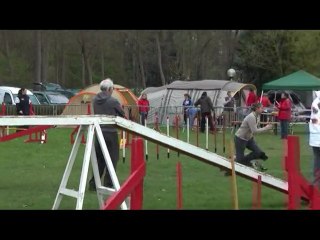 girlenhirsch c'ven agility