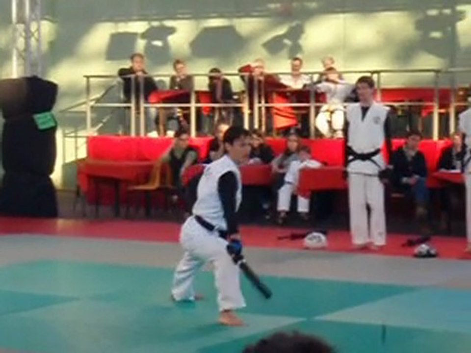 Gala des arts martiaux de Maisons-Laffitte 2