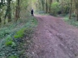 mohh kx 80 proopre