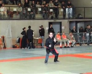 Championnat d'Alsace  de kung fu 2010