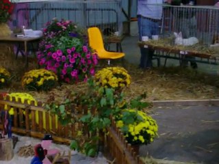 la petite ferme de Metz expo sept 2008 M&F