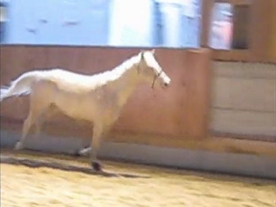 Travail au sol de Iena