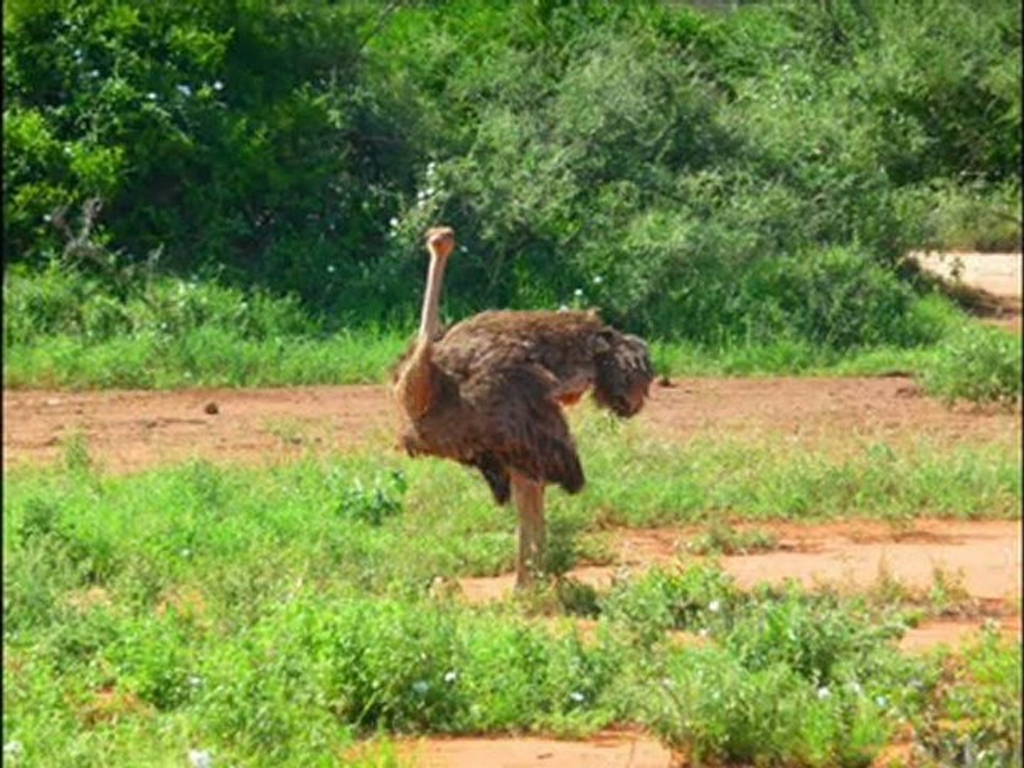 Kenya