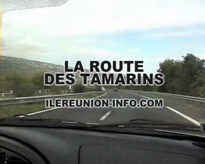 LA ROUTE DES TAMARINS