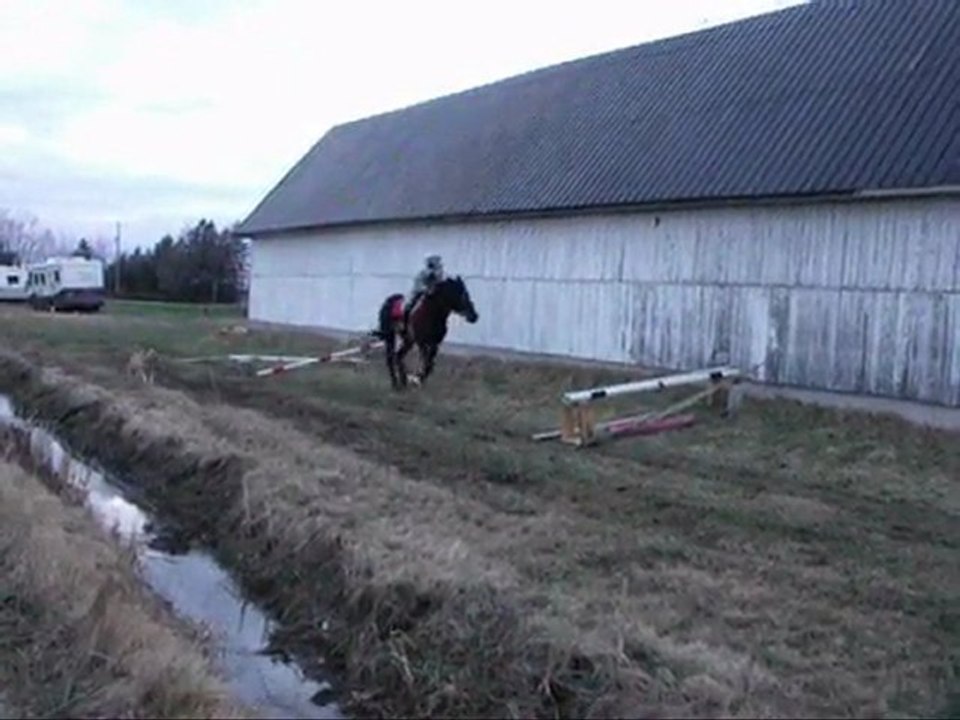 saut avec mon cheval !!