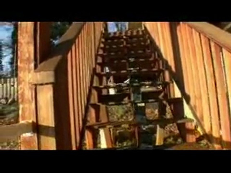 Domino avec 1500 Disques Durs