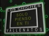 LOS CHICHES DEL VALLENATO