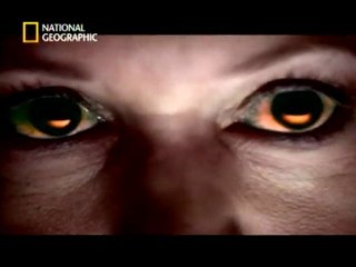 INSIDE : " LSD " 1/3