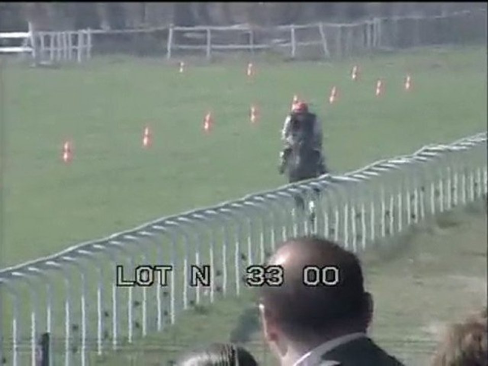 Lot 22
