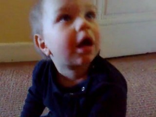 robin rue d'auvergne avril 2010