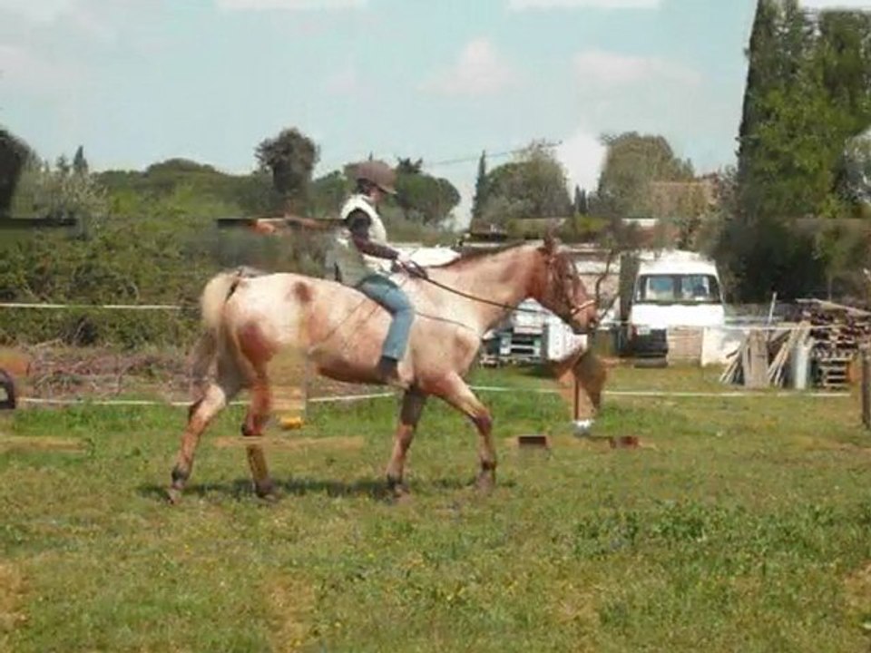 Jumper à cru