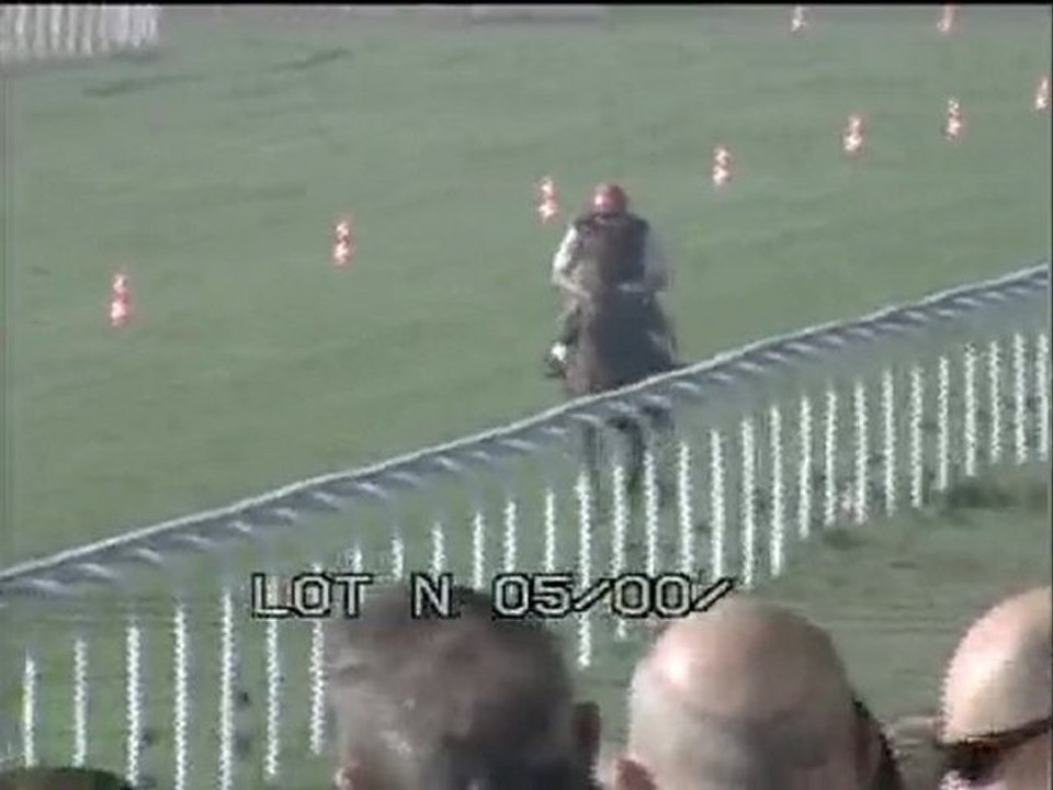 Lot 2
