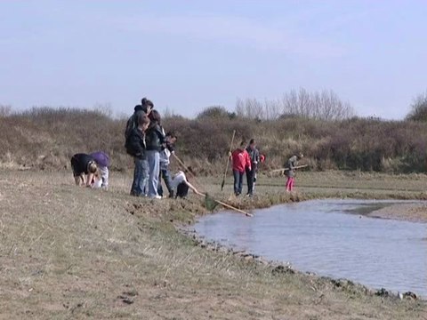 Calaisis TV: Peche a pied aux hemmes de marck