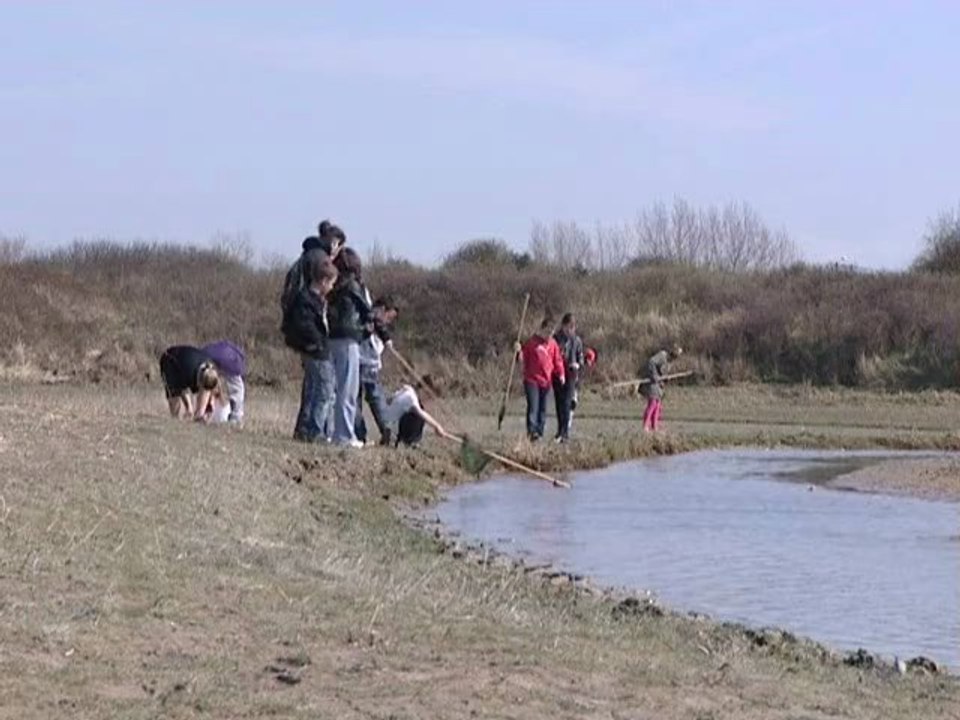 Calaisis TV: Peche a pied aux hemmes de marck