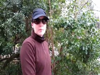 Roller Poussette à Saint-Jean-de-monts (85160)